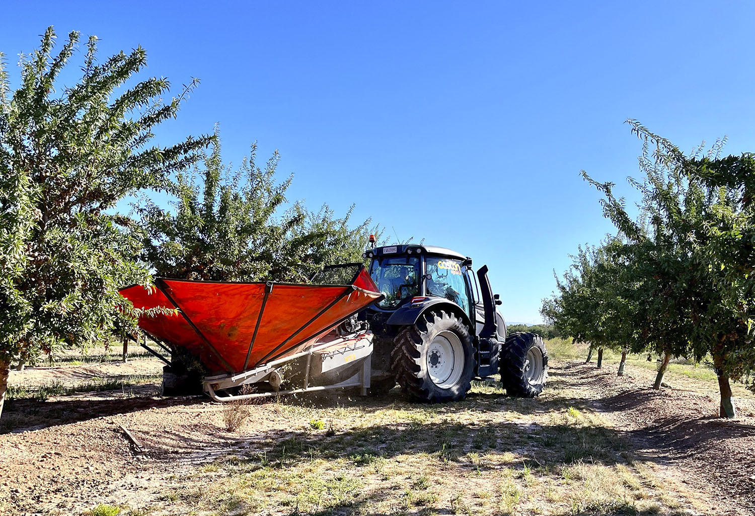 Valtra N155 med TwinTrac reversdriftssystem drev en paraplyhøster for mandler.