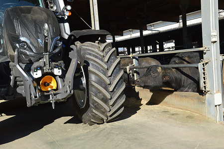 Valtra-traktorer og vannbøfler