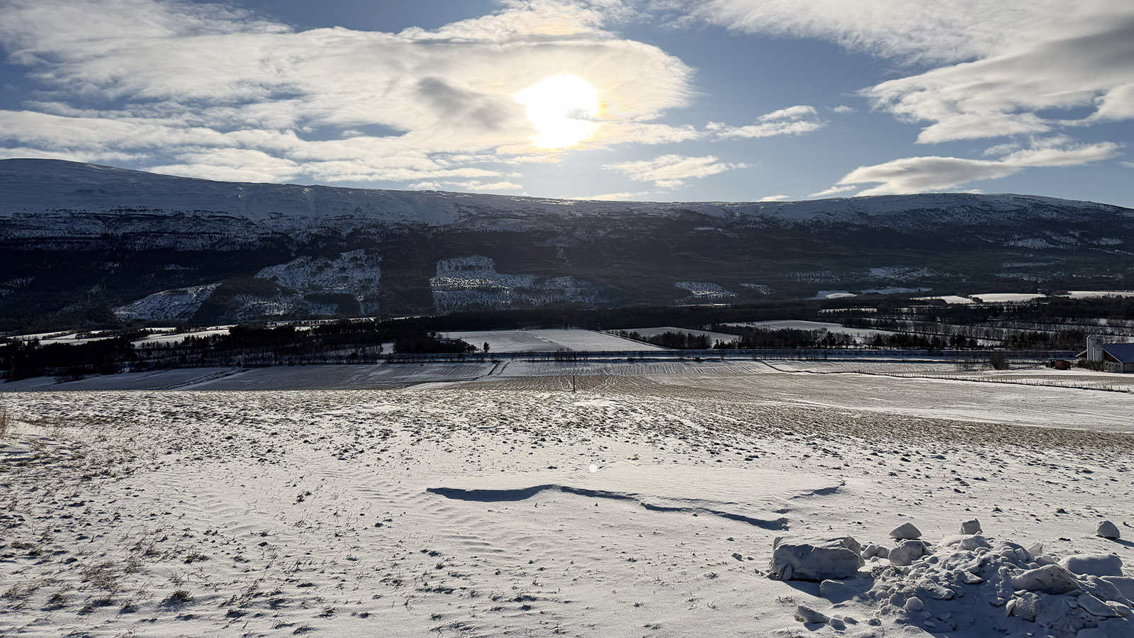 Det er gode betingelser for grasproduksjon i Lora. Flate jorder etter siste istid, men lite stein. Foto: Lars Ovlien
